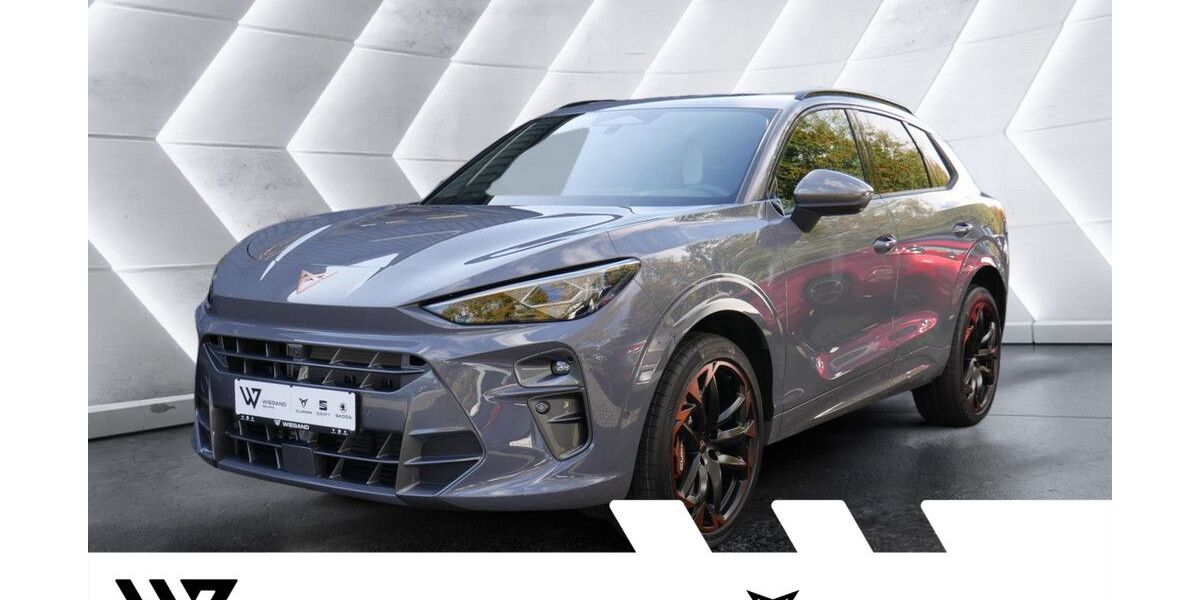 Cupra Terramar 34.009 km 42.993 &euro; Gelnhausen 63571