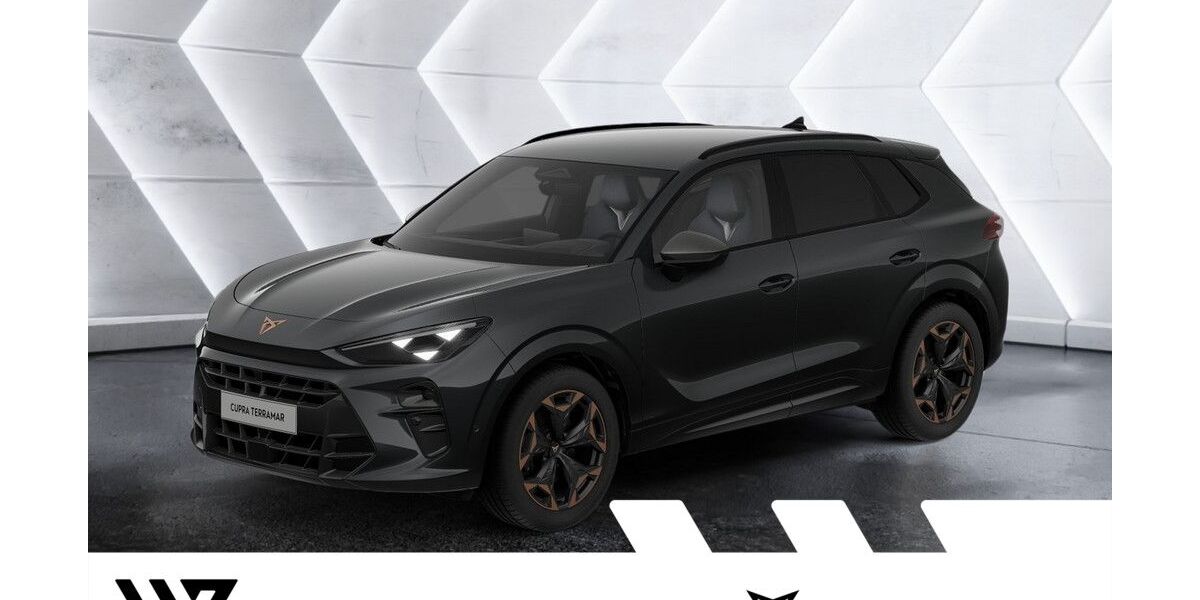 Cupra Terramar 1.500 km 41.624 &euro; Büdingen-Düdelsheim 63654