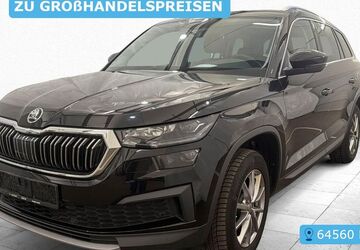 Skoda Kodiaq 150.095 km 23.307 &euro; Frankfurt 60596