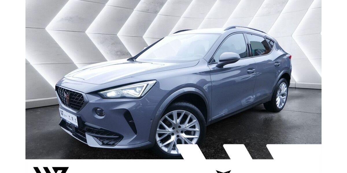 Cupra Formentor 149.650 km 20.374 &euro; Büdingen-Düdelsheim 63654