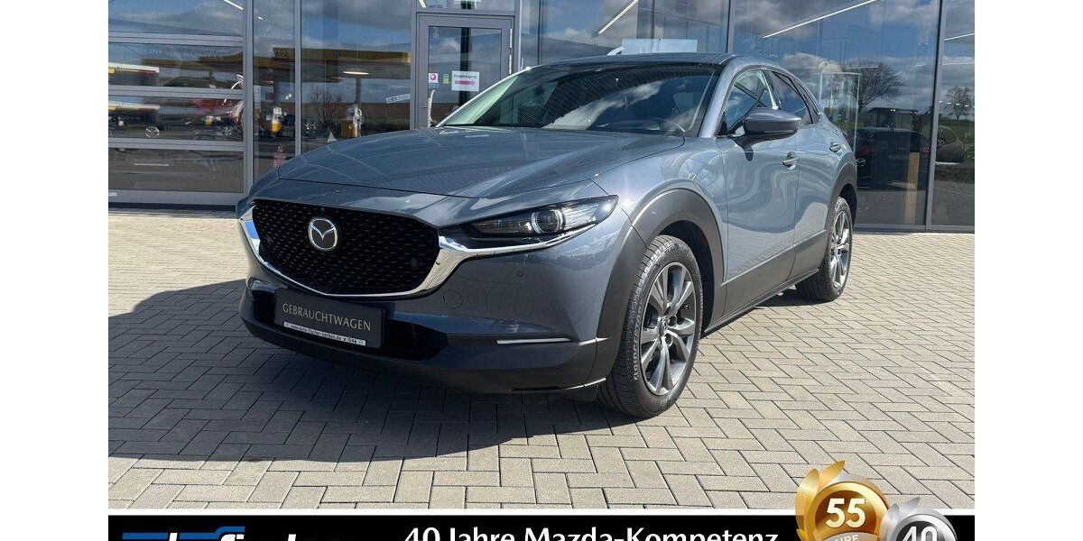 Mazda CX-30 64.290 km 22.990 &euro; Karben 61184