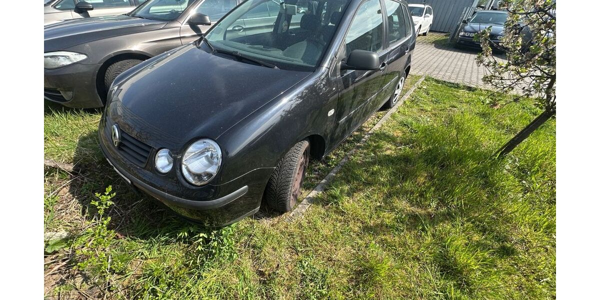 VW Polo 250.000 km 950 &euro; Mühlheim am Main 63165