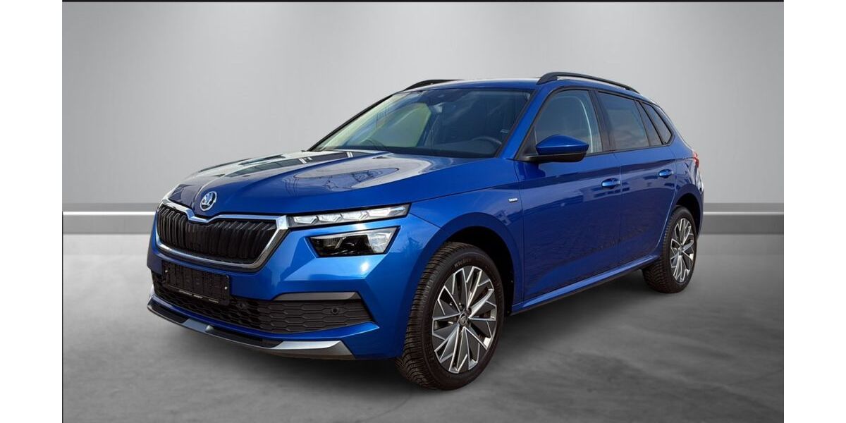 Skoda Kamiq 81.070 km 15.870 &euro; Kleinostheim 63801