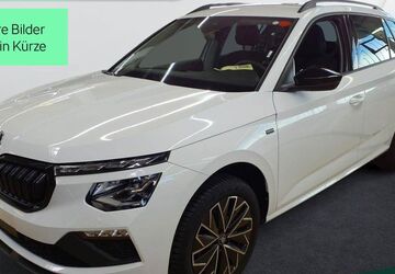 Skoda Kamiq 29.200 km 27.849 &euro; Mühlheim 63165