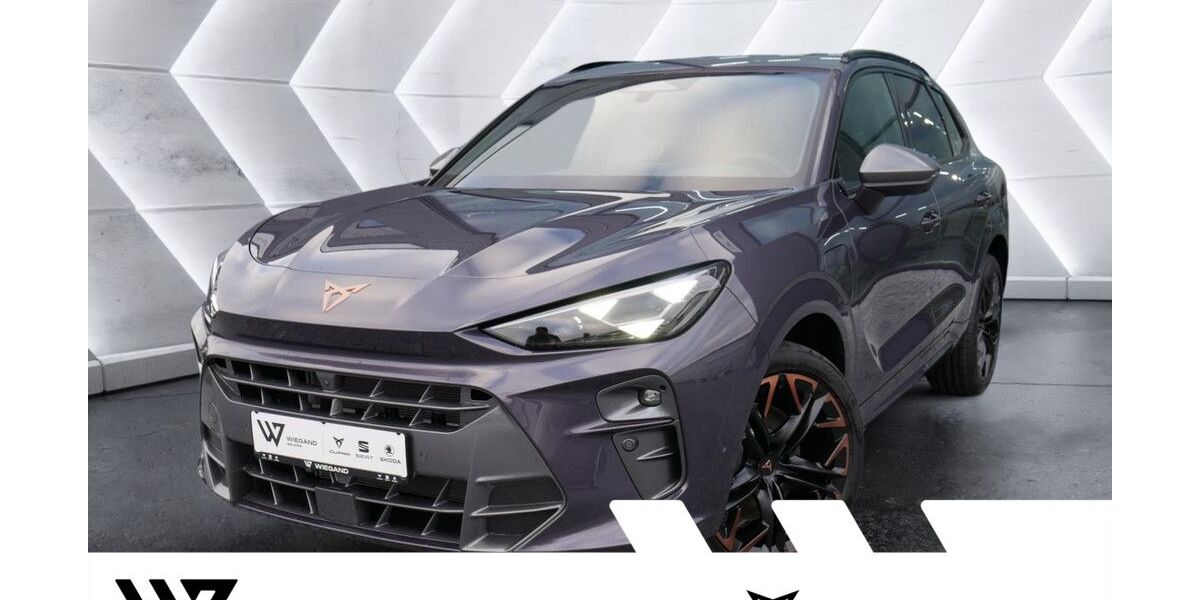 Cupra Terramar 28.500 km 41.958 &euro; Gelnhausen 63571