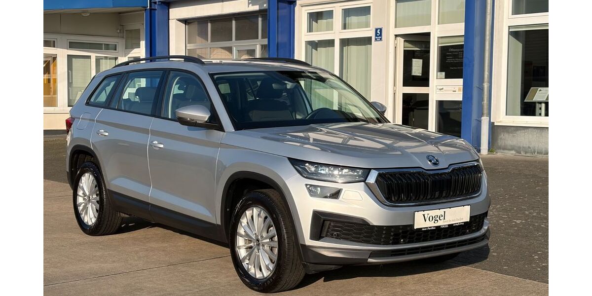Skoda Kodiaq 50.000 km 31.000 &euro; Aschaffenburg 63743