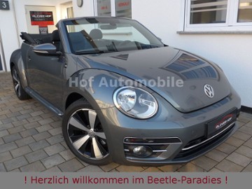 Gebrauchte VW Beetle