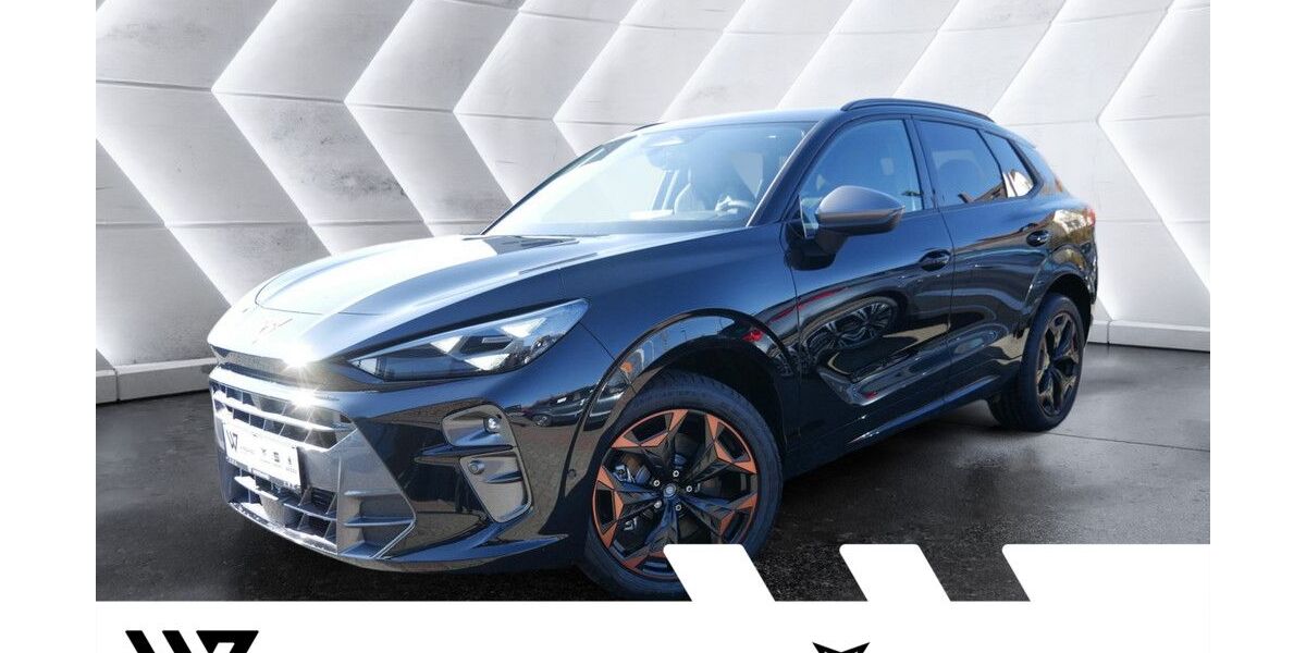 Cupra Terramar 12.500 km 39.985 &euro; Büdingen-Düdelsheim 63654