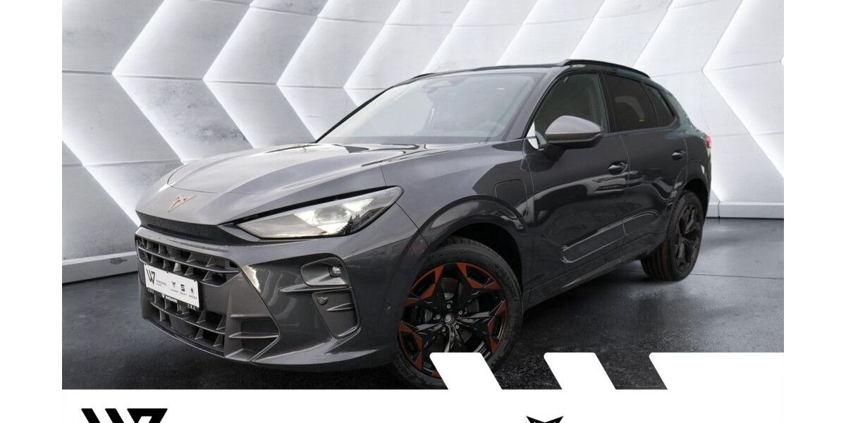 Cupra Terramar 15.000 km 42.637 &euro; Büdingen-Düdelsheim 63654