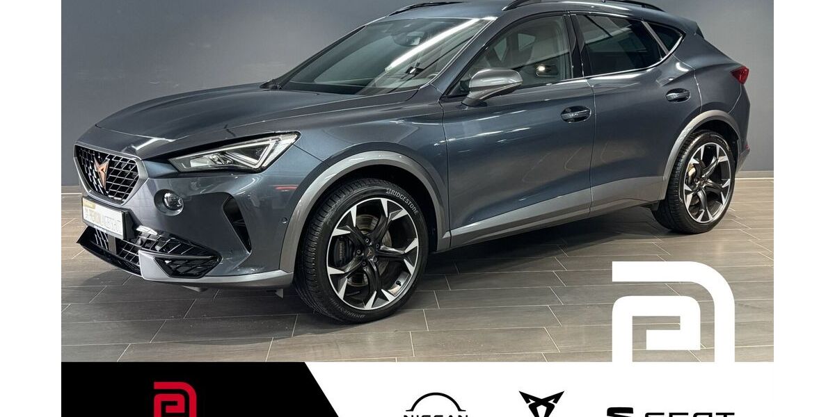 Cupra Formentor 57.865 km 28.099 &euro; Offenbach 63069