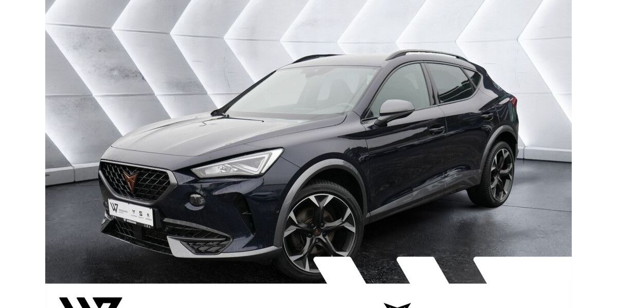 Cupra Formentor 132.004 km 20.987 &euro; Büdingen-Düdelsheim 63654