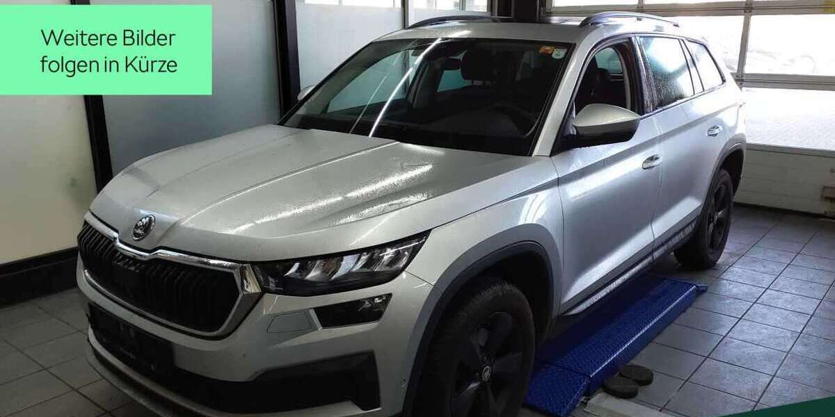 Skoda Kodiaq 69.500 km 29.888 &euro; Mühlheim a. Main 63165