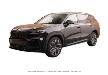 Skoda Kodiaq 50 km 45.446 &euro; Schöneck 61137