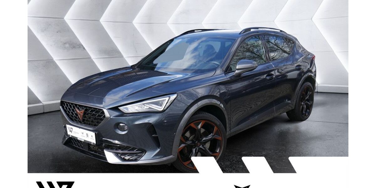 Cupra Formentor 55.532 km 26.634 &euro; Gelnhausen 63571