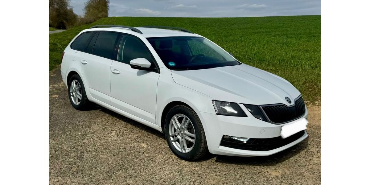 Skoda Octavia 193.600 km 8.900 &euro; Nidderau 61130