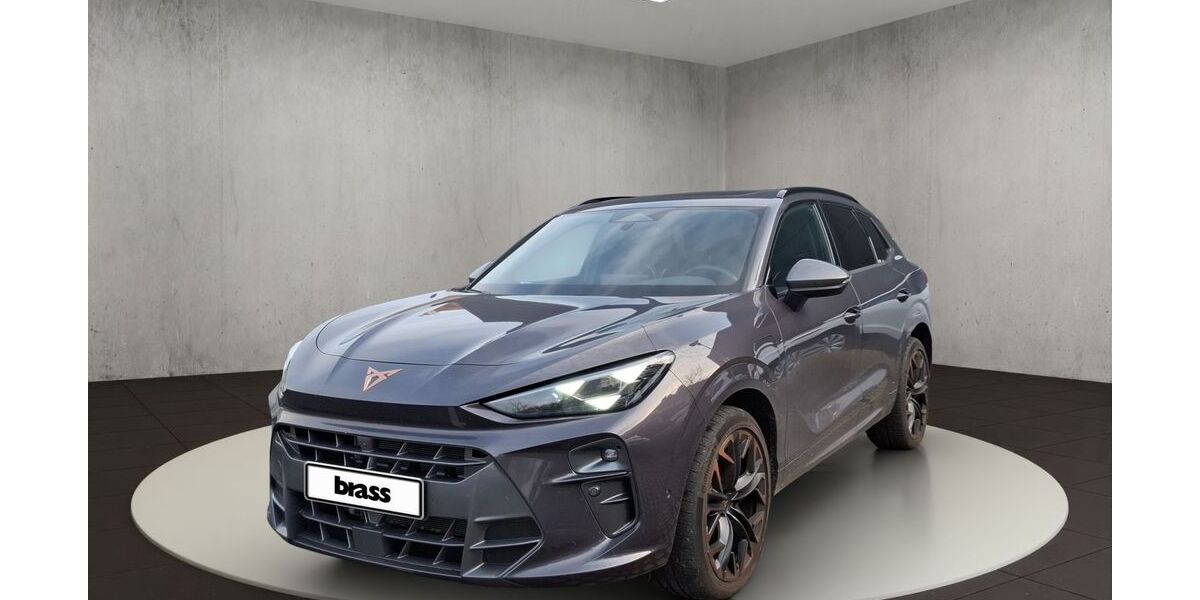 Cupra Terramar 9.999 km 46.950 &euro; Frankfurt 60488