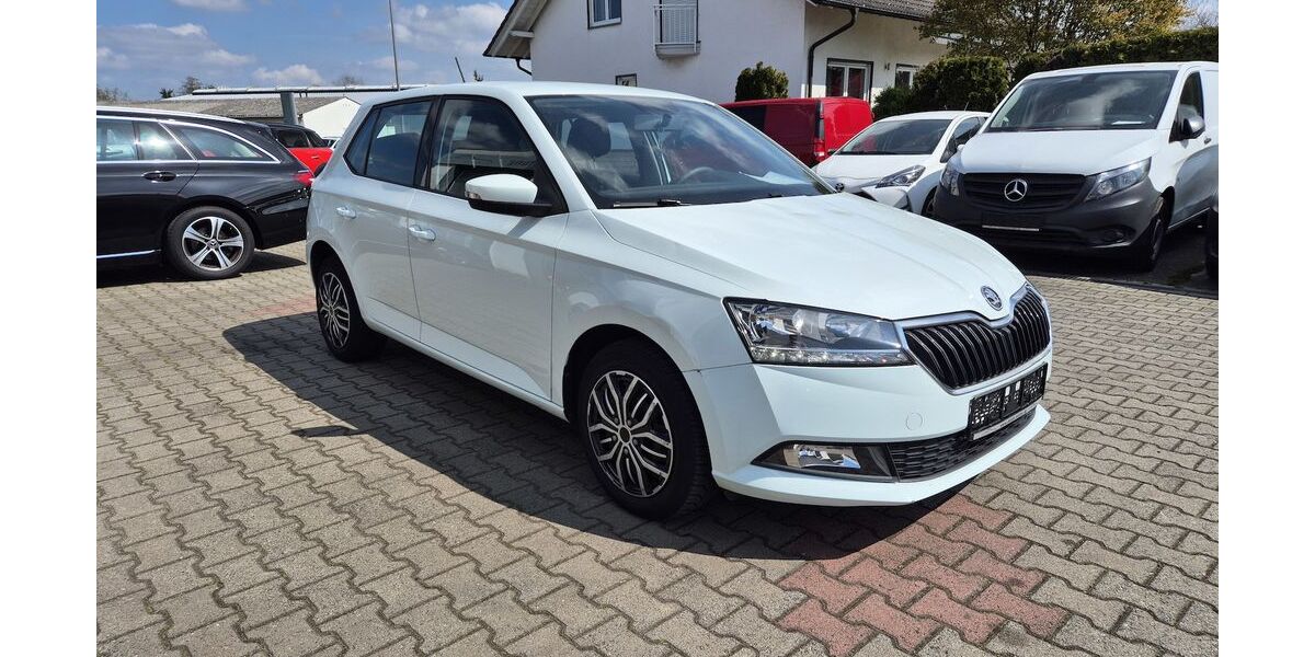 Skoda Fabia 127.420 km 7.890 &euro; Rodgau 63110