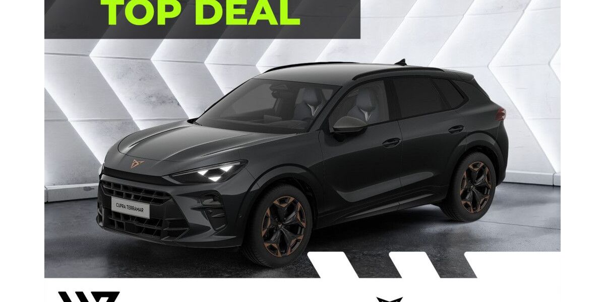 Cupra Terramar 6.000 km 41.624 &euro; Büdingen-Düdelsheim 63654