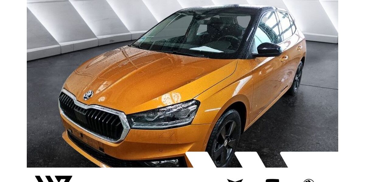 Skoda Fabia 49.411 km 21.907 &euro; Gelnhausen 63571