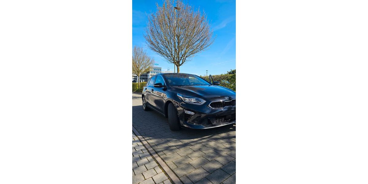 Kia ceed / Ceed 145.000 km 14.000 &euro; Bad Vilbel 61118