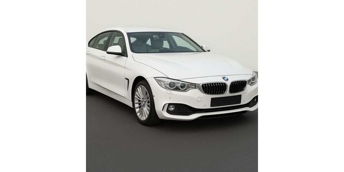 BMW 420 174.200 km 15.900 &euro; FRANKFURT 65933