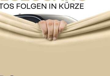 Renault Kadjar 51.078 km 17.290 &euro; Frankfurt / Main 60314