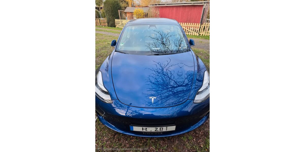 Tesla Model 3 172.000 km 16.500 &euro; Bad Homburg 61348